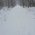 Ravine Trails Club Snowshoe